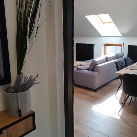 Comfort 4*